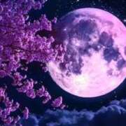 ヒメ日記 2025/04/12 22:06 投稿 森田 MadameRest(マダムレスト)