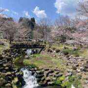 ヒメ日記 2025/04/17 16:43 投稿 森田 MadameRest(マダムレスト)