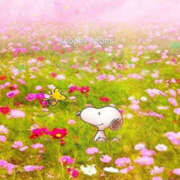 ヒメ日記 2025/04/20 05:17 投稿 森田 MadameRest(マダムレスト)