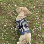 ヒメ日記 2025/04/20 11:07 投稿 森田 MadameRest(マダムレスト)