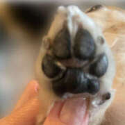 ヒメ日記 2025/04/23 14:10 投稿 森田 MadameRest(マダムレスト)