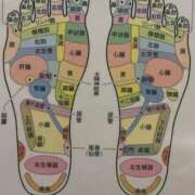 ヒメ日記 2025/04/25 12:32 投稿 森田 MadameRest(マダムレスト)