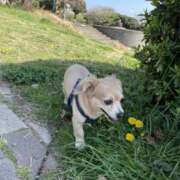 ヒメ日記 2025/04/29 12:58 投稿 森田 MadameRest(マダムレスト)