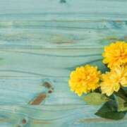 ヒメ日記 2025/04/30 08:26 投稿 森田 MadameRest(マダムレスト)