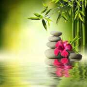 ヒメ日記 2025/05/02 12:51 投稿 森田 MadameRest(マダムレスト)