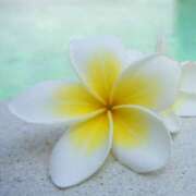 ヒメ日記 2025/05/03 12:21 投稿 森田 MadameRest(マダムレスト)