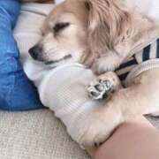 ヒメ日記 2025/05/08 00:20 投稿 森田 MadameRest(マダムレスト)