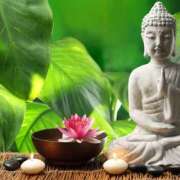 ヒメ日記 2025/05/08 07:44 投稿 森田 MadameRest(マダムレスト)