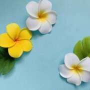 ヒメ日記 2025/05/11 19:51 投稿 森田 MadameRest(マダムレスト)