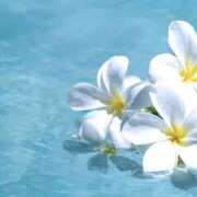 ヒメ日記 2025/05/17 11:15 投稿 森田 MadameRest(マダムレスト)