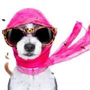 ヒメ日記 2025/05/18 11:01 投稿 森田 MadameRest(マダムレスト)