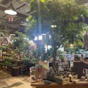 ヒメ日記 2025/05/20 12:56 投稿 森田 MadameRest(マダムレスト)