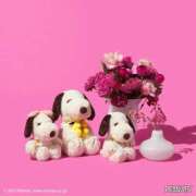 ヒメ日記 2025/05/21 09:13 投稿 森田 MadameRest(マダムレスト)