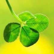 ヒメ日記 2025/05/28 09:13 投稿 森田 MadameRest(マダムレスト)