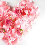 ヒメ日記 2025/06/01 21:01 投稿 森田 MadameRest(マダムレスト)