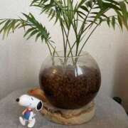 ヒメ日記 2025/06/10 08:22 投稿 森田 MadameRest(マダムレスト)