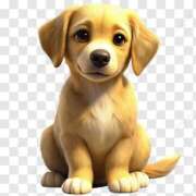 ヒメ日記 2025/06/17 09:07 投稿 森田 MadameRest(マダムレスト)