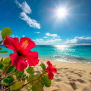 ヒメ日記 2025/06/18 09:05 投稿 森田 MadameRest(マダムレスト)