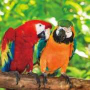 ヒメ日記 2025/06/19 09:08 投稿 森田 MadameRest(マダムレスト)