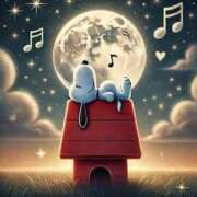 ヒメ日記 2025/06/24 03:21 投稿 森田 MadameRest(マダムレスト)