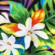 ヒメ日記 2025/06/30 09:33 投稿 森田 MadameRest(マダムレスト)