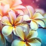 ヒメ日記 2025/07/05 13:14 投稿 森田 MadameRest(マダムレスト)