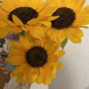 ヒメ日記 2025/07/08 09:28 投稿 森田 MadameRest(マダムレスト)