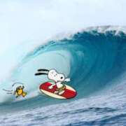 ヒメ日記 2025/07/09 08:57 投稿 森田 MadameRest(マダムレスト)