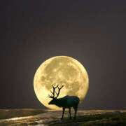 ヒメ日記 2025/07/11 11:28 投稿 森田 MadameRest(マダムレスト)