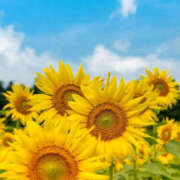 ヒメ日記 2025/07/12 09:48 投稿 森田 MadameRest(マダムレスト)