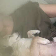 ヒメ日記 2025/07/23 00:14 投稿 森田 MadameRest(マダムレスト)