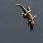 ヒメ日記 2025/07/27 11:03 投稿 森田 MadameRest(マダムレスト)