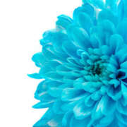 ヒメ日記 2025/08/03 03:22 投稿 森田 MadameRest(マダムレスト)