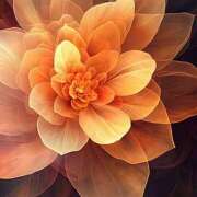 ヒメ日記 2025/08/04 01:24 投稿 森田 MadameRest(マダムレスト)