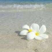 ヒメ日記 2025/08/12 08:28 投稿 森田 MadameRest(マダムレスト)