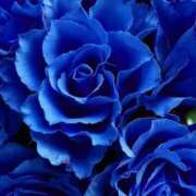 ヒメ日記 2025/08/15 03:44 投稿 森田 MadameRest(マダムレスト)