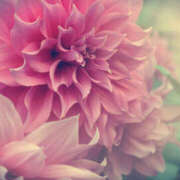 ヒメ日記 2025/08/21 01:50 投稿 森田 MadameRest(マダムレスト)