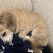 ヒメ日記 2025/08/24 09:34 投稿 森田 MadameRest(マダムレスト)