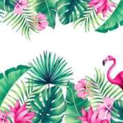 ヒメ日記 2025/08/25 08:51 投稿 森田 MadameRest(マダムレスト)