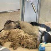 ヒメ日記 2025/08/29 08:47 投稿 森田 MadameRest(マダムレスト)