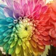 ヒメ日記 2025/09/03 20:13 投稿 森田 MadameRest(マダムレスト)