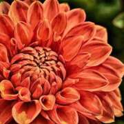 ヒメ日記 2025/09/10 03:01 投稿 森田 MadameRest(マダムレスト)