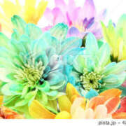 ヒメ日記 2025/09/11 03:03 投稿 森田 MadameRest(マダムレスト)