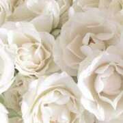 ヒメ日記 2025/09/12 02:26 投稿 森田 MadameRest(マダムレスト)