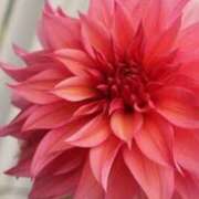 ヒメ日記 2025/09/16 03:44 投稿 森田 MadameRest(マダムレスト)