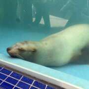 ヒメ日記 2025/09/22 08:46 投稿 森田 MadameRest(マダムレスト)