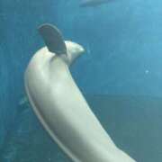 ヒメ日記 2025/09/23 08:31 投稿 森田 MadameRest(マダムレスト)