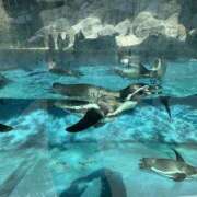 ヒメ日記 2025/09/24 10:27 投稿 森田 MadameRest(マダムレスト)