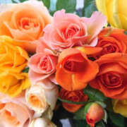 ヒメ日記 2025/09/25 02:25 投稿 森田 MadameRest(マダムレスト)