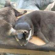 ヒメ日記 2025/09/25 10:17 投稿 森田 MadameRest(マダムレスト)